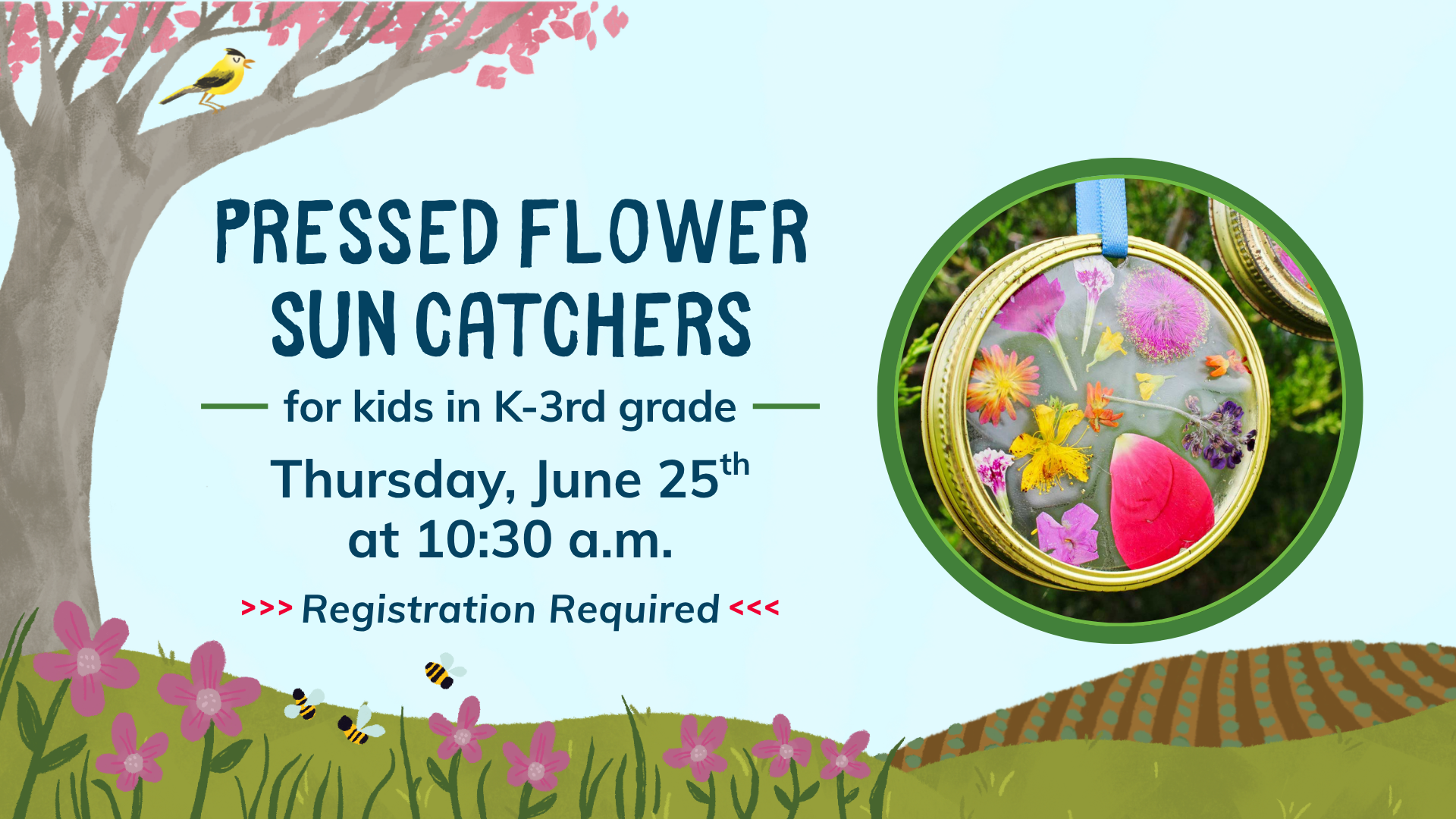 Pressed Flower Sun Catchers