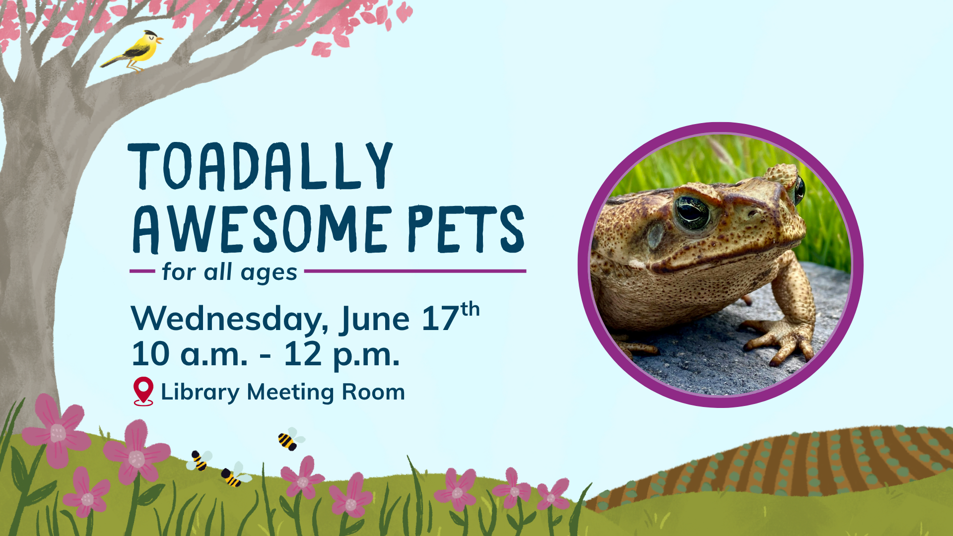 Toadally Awesome Pets June 17 at 10am