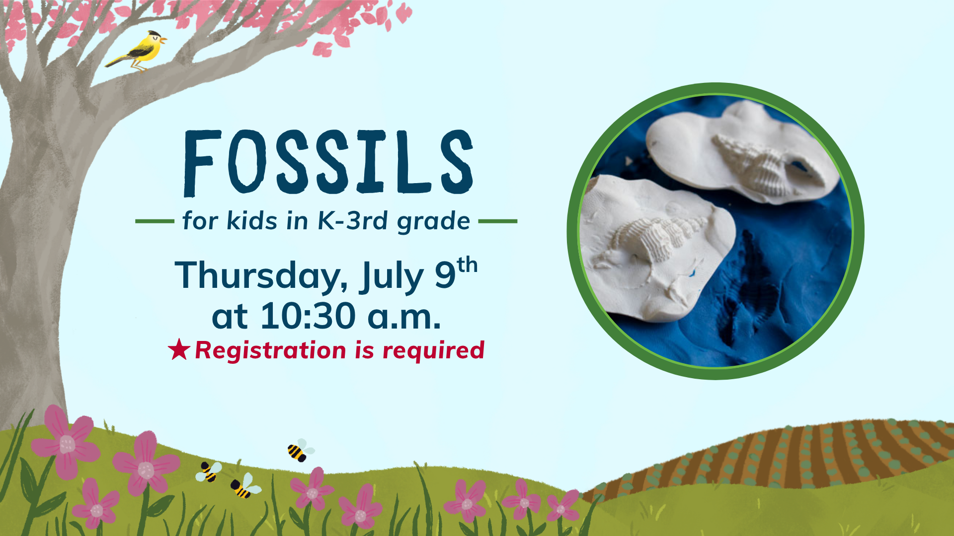 Fossil Making for kids at 10:30 a.m.